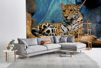 Фотообои Artmegahome Животные