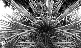 Фотообои Co.De CODE 02