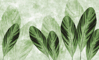  Обои Skinwall Contemporary Collection