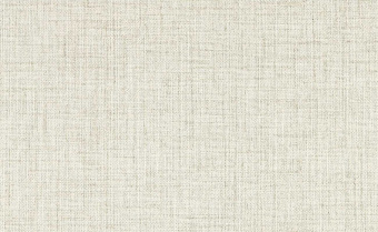 Обои Clarke & Clarke Expressions Performans