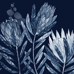 Фотообои Wall Street HERBARIUM