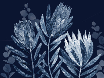 Фотообои Wall Street HERBARIUM