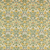 Morris & Co  Emery Walker’s House Collection