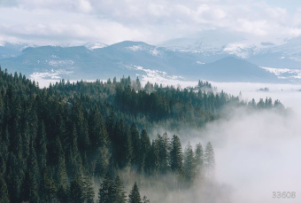 Фрески/Панно ORTOGRAF