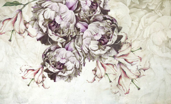  Обои Skinwall Contemporary Collection