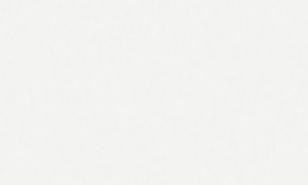 Обои Rasch Bright Whisper