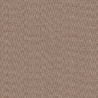 Обои Alessandro Allori Bruni