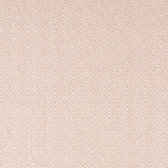 Ткань Ashley Wilde Darcy