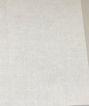 Обои Architector Parisienne