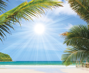 Фрески/Панно ORTOGRAF