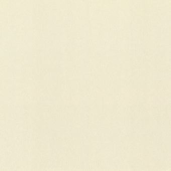 Обои Rasch Fresh Up