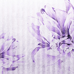  Обои Skinwall Contemporary Collection