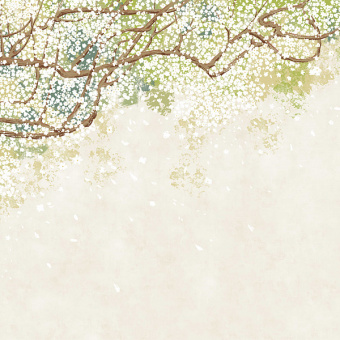 Фотообои Мне обои