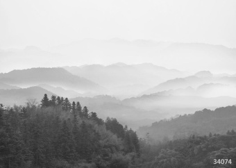 Фрески/Панно ORTOGRAF