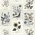Обои York Rifle Paper Co. Second Edition