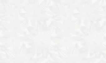 Обои Grandeco Gloria