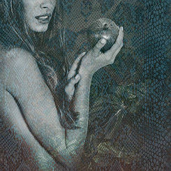  Обои Skinwall Contemporary Collection