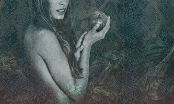  Обои Skinwall Contemporary Collection