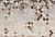 Фрески/Панно ORTOGRAF