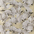 Обои Designers Guild Foscari Fresco with paint Litho