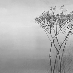 Фотообои Onprint Watercolour melody Фотообои Onprint Watercolour melody