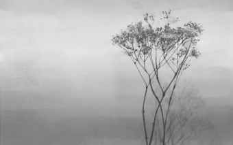 Фотообои Onprint Watercolour melody