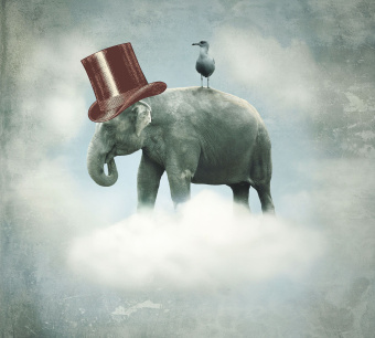 Фрески/Панно ORTOGRAF