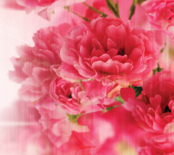 Фрески/Панно Loymina Illusion 2