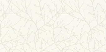 Обои Alessandro Allori Argiano