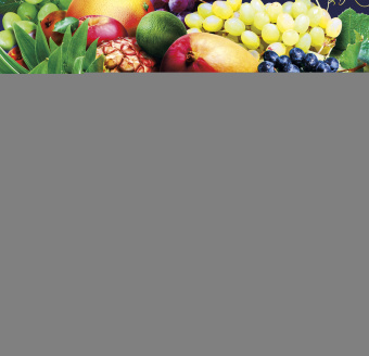 Фрески/Панно ORTOGRAF Кухня