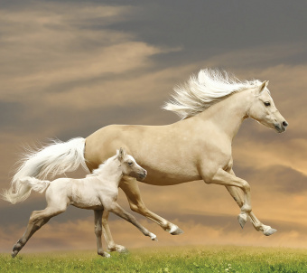 Фрески/Панно Loymina Illusion 2