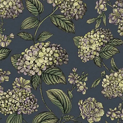 Обои Cole & Son Fornasetti Senza Tempo II