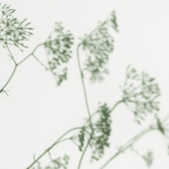 Фотообои Wall Street VETVE 22