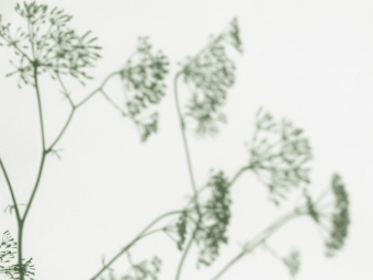 Фотообои Wall Street VETVE 22