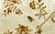 Обои Fromental Chinoiserie