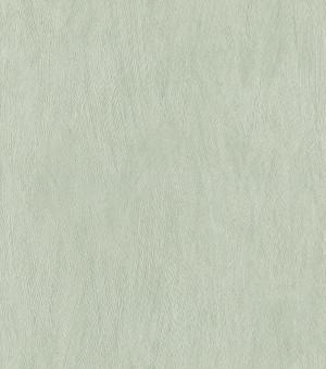 Обои Rasch Allegretto