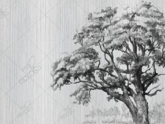 Фотообои My Fresco Природа