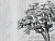Фотообои My Fresco Природа
