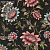 Обои Clarke & Clarke Wedgwood Botanical Wonders