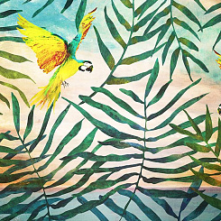  Обои Skinwall Contemporary Collection