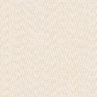 Обои Alessandro Allori Bruni