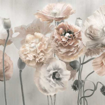 Фотообои Мне обои