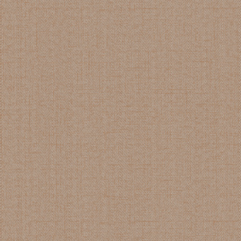 Обои Alessandro Allori Bruni