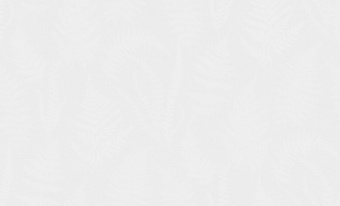 Обои Rasch Step-Up