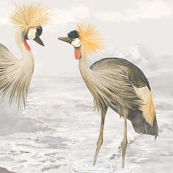 Фотообои Wall Street FAUNA ZOOM