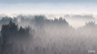 Фрески/Панно ORTOGRAF