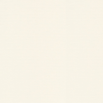 Обои Brewster Evolution 12