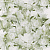 Обои Designers Guild Foscari Fresco with paint Litho