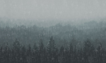 Фотообои Co.De CODE 01