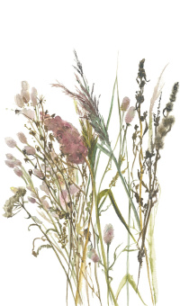 Обои Marburg Boho